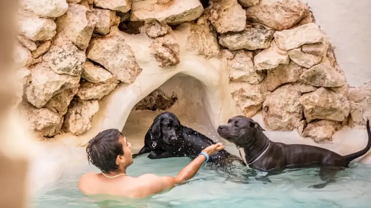 Cómo crear una experiencia sensorial completa en una alberca tipo cenote o playa