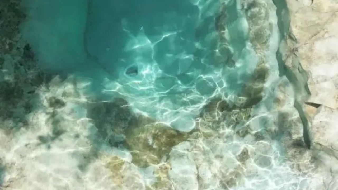 Plagas en piscinas naturales: mitos y realidades