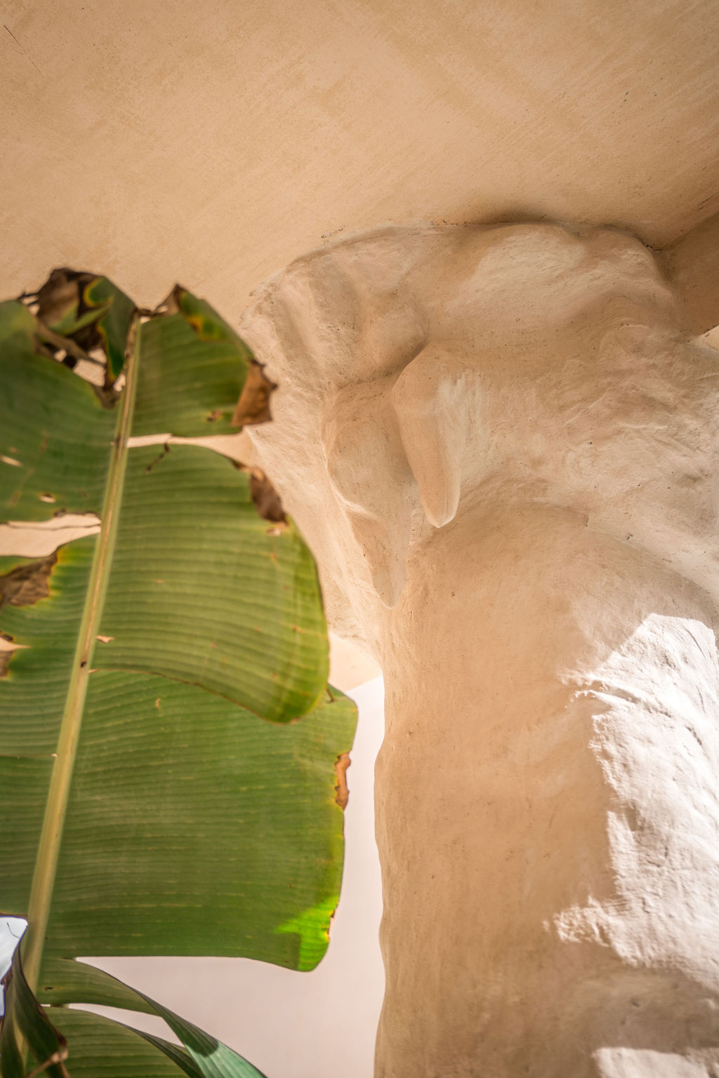 Casa Maya — proyecto Dzenotik 16