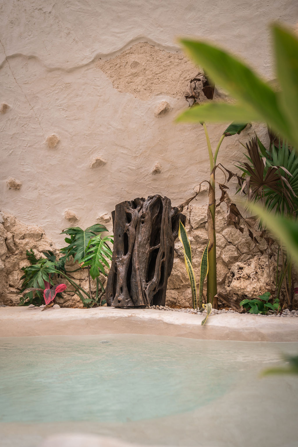 Casa Maya — proyecto Dzenotik 23