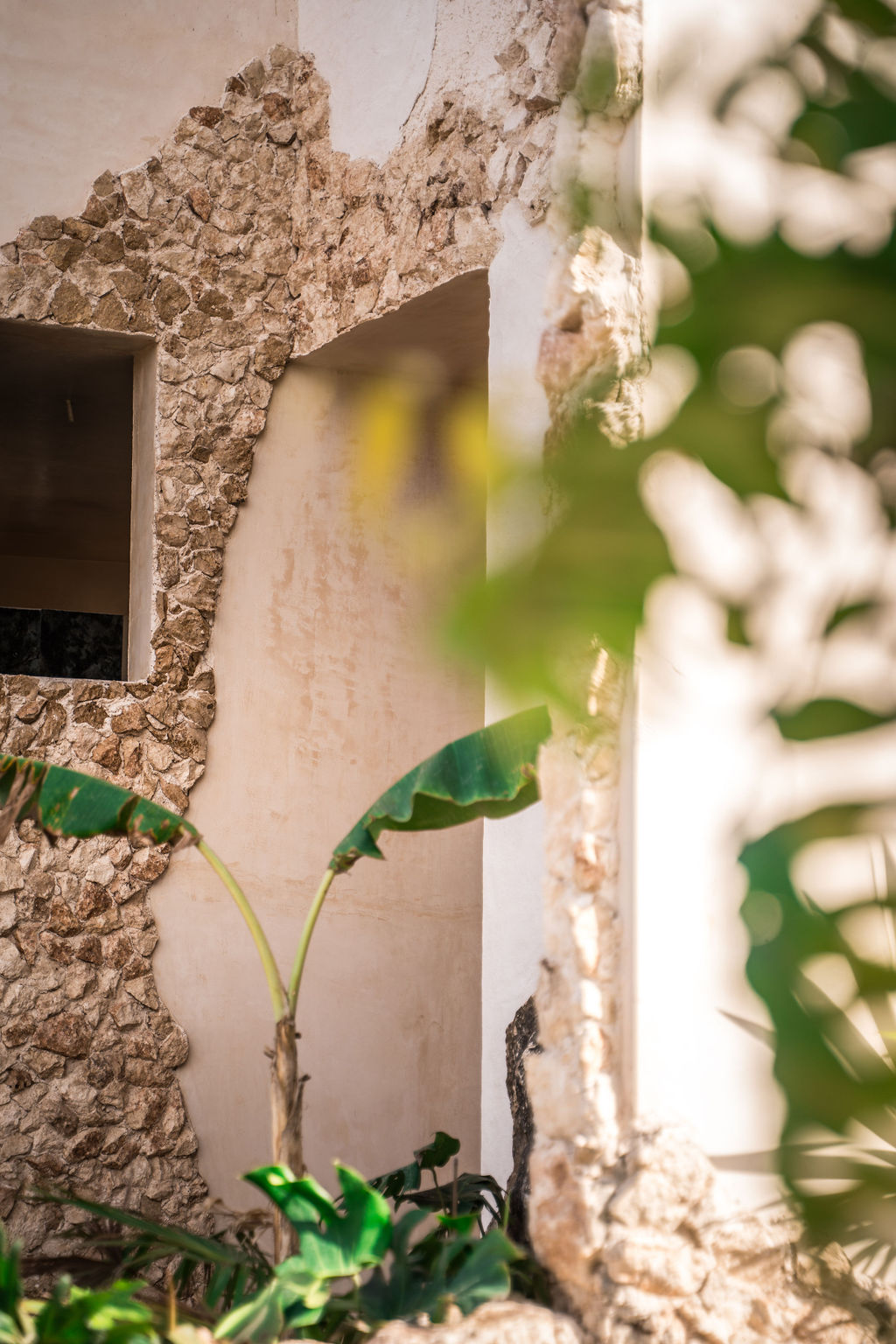 Casa Maya — proyecto Dzenotik 39