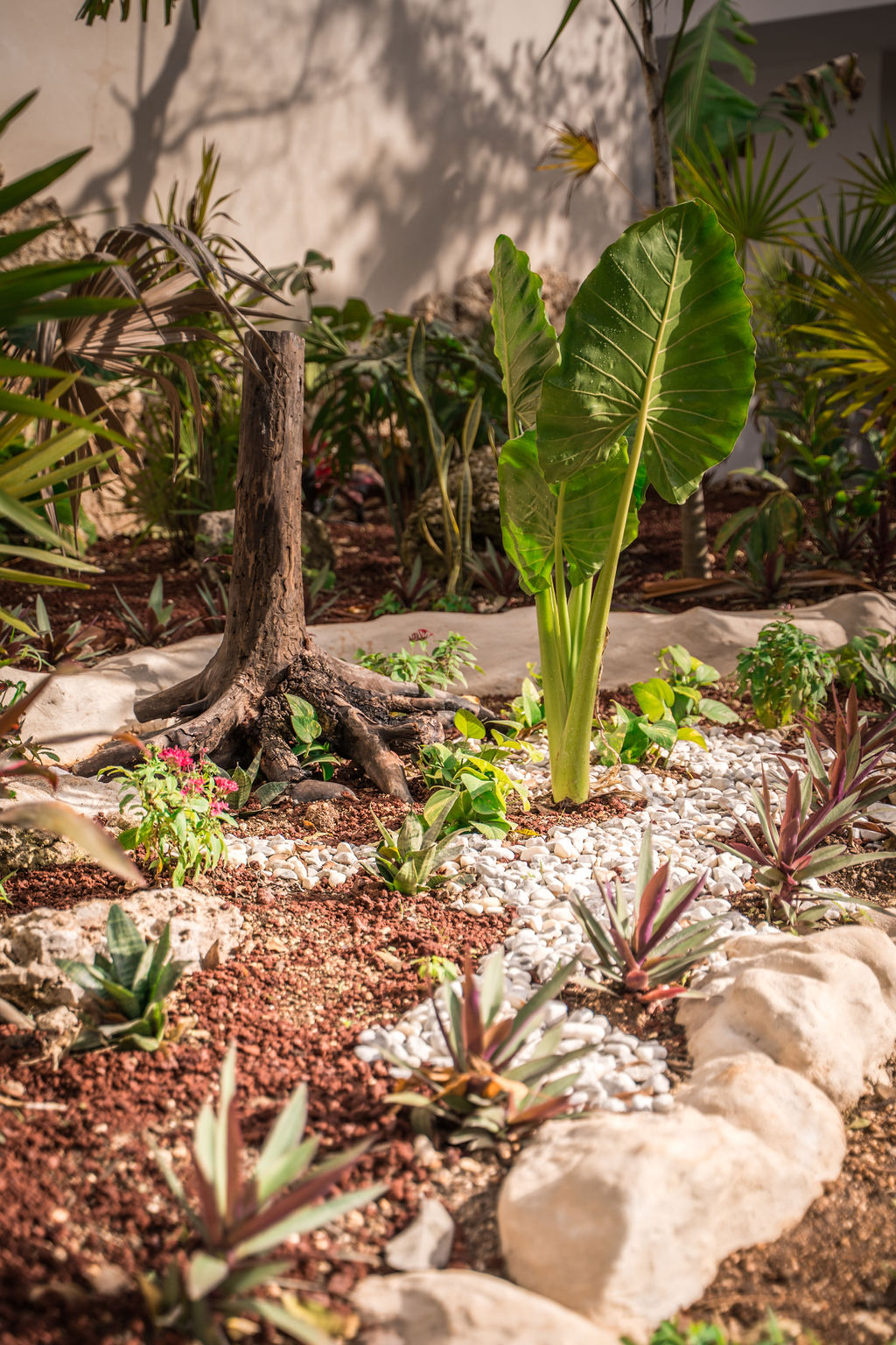 Casa Maya — proyecto Dzenotik 41
