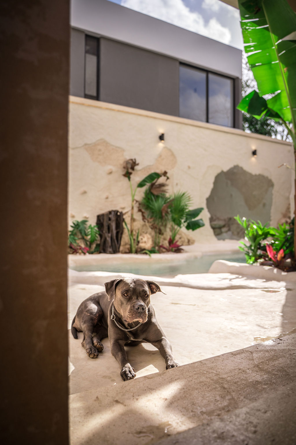 Casa Maya — proyecto Dzenotik 45