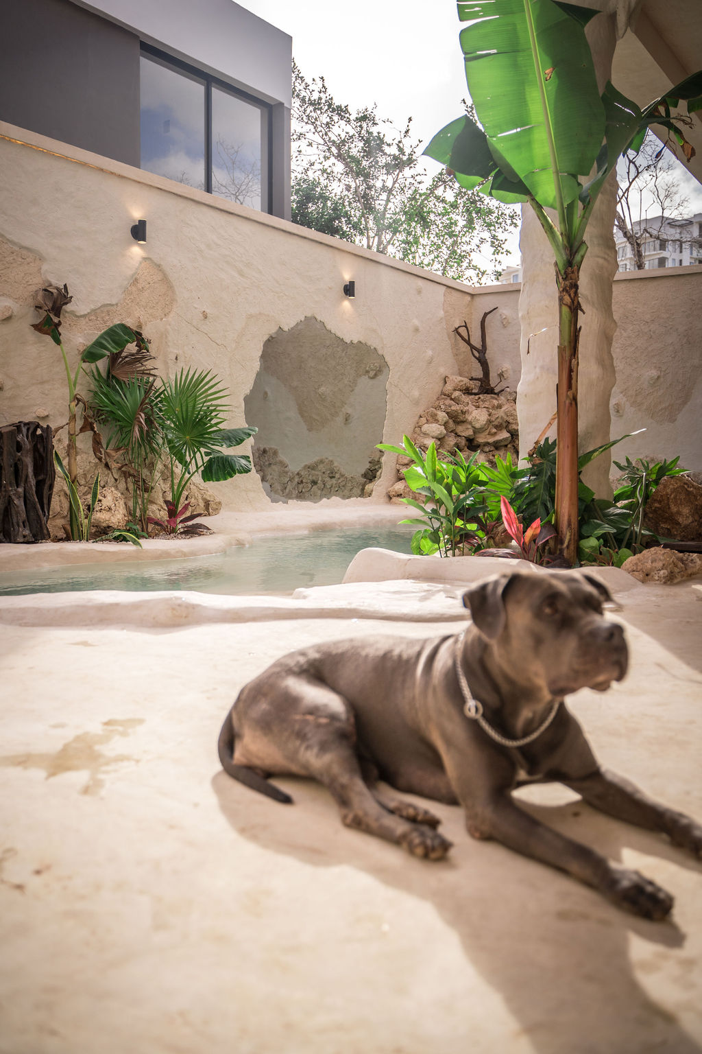 Casa Maya — proyecto Dzenotik 46