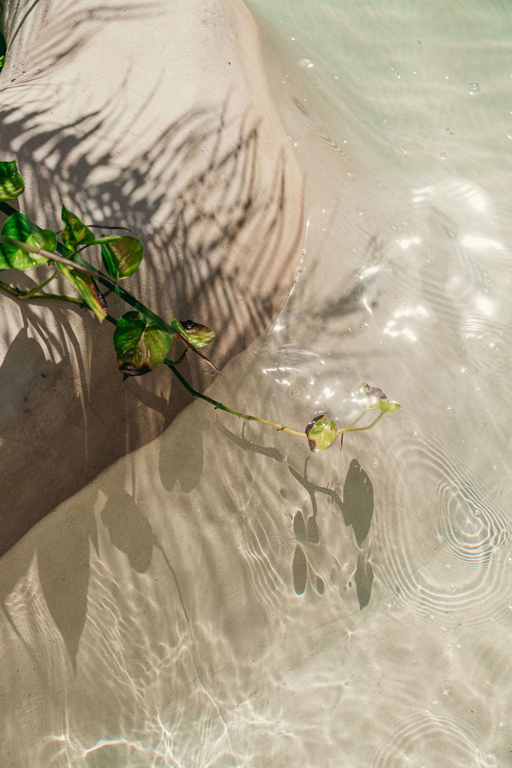Noil Houses — proyecto Dzenotik 25