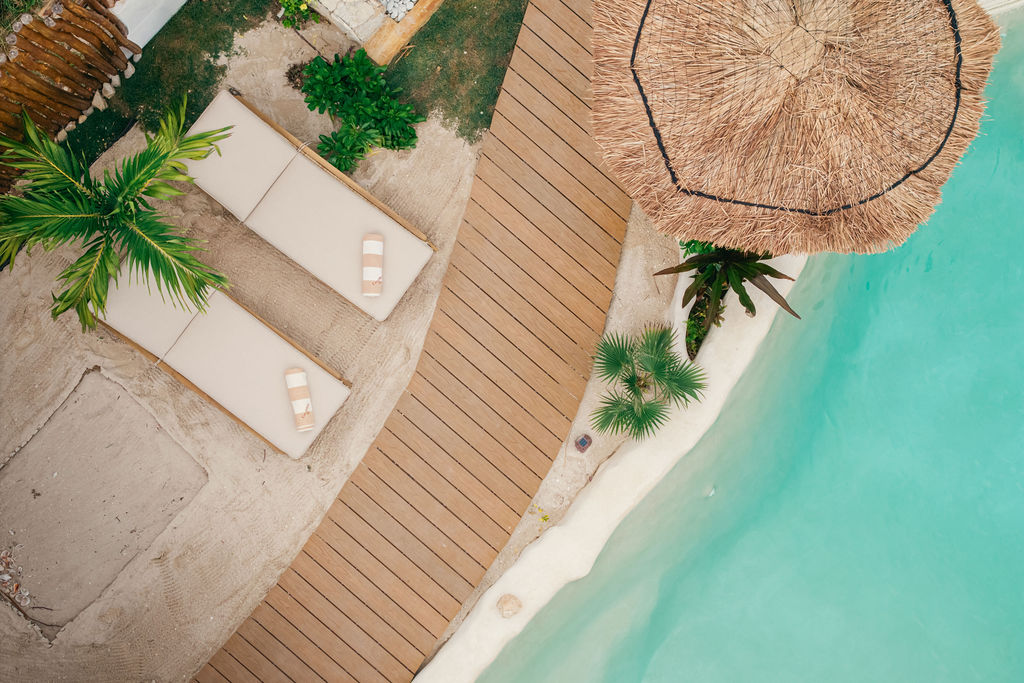 Casa Viva — proyecto Dzenotik 1