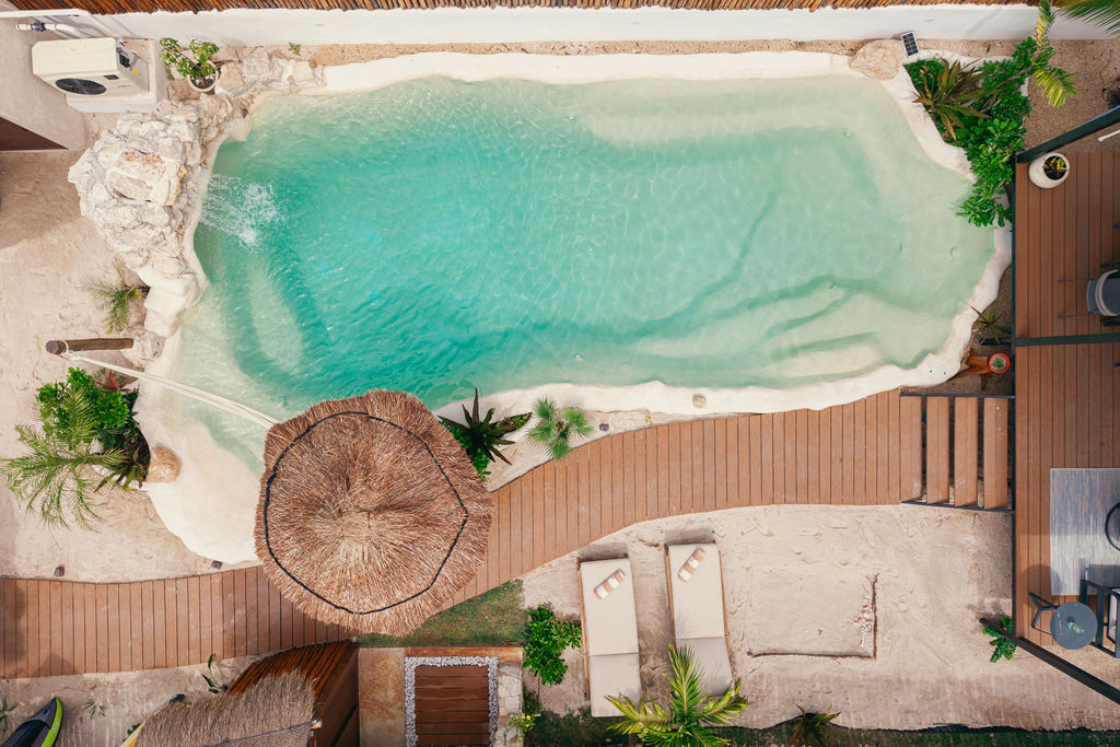 Casa Viva — proyecto Dzenotik 6