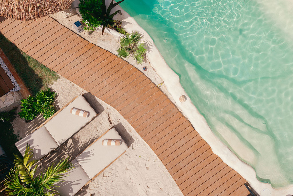 Casa Viva — proyecto Dzenotik 14