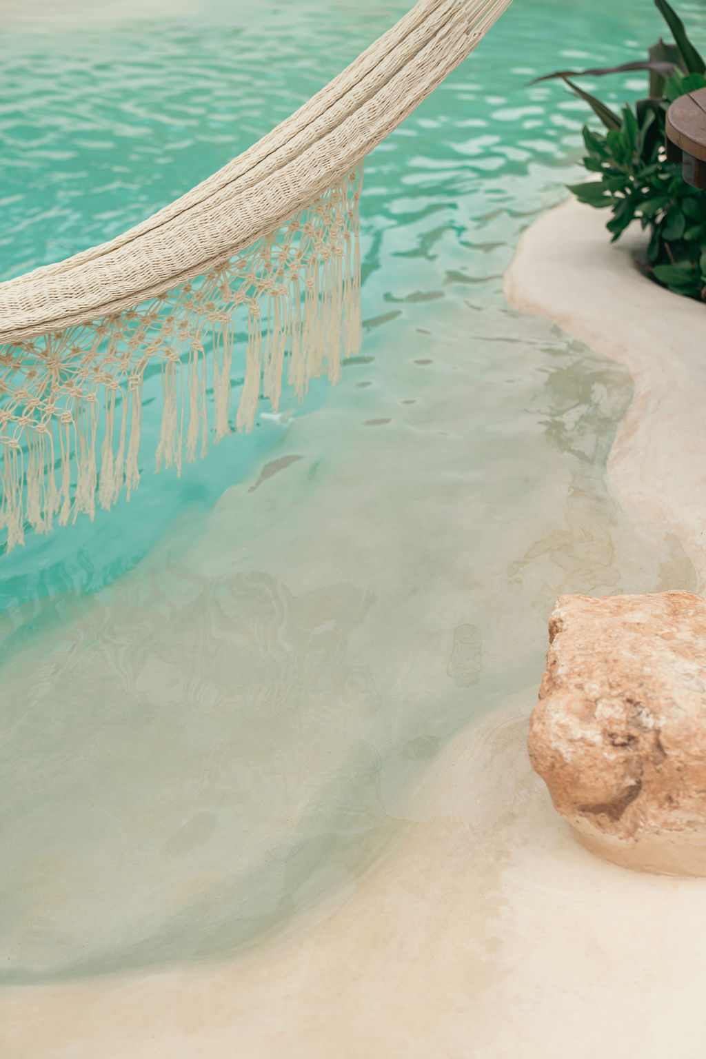 Casa Viva — proyecto Dzenotik 17