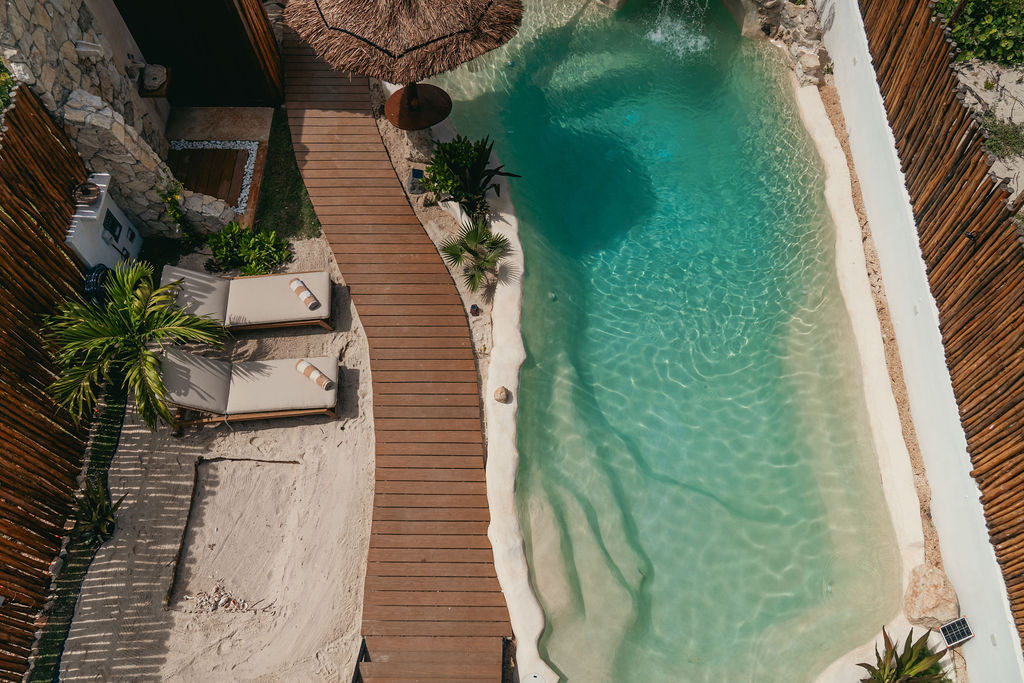Casa Viva — proyecto Dzenotik 24