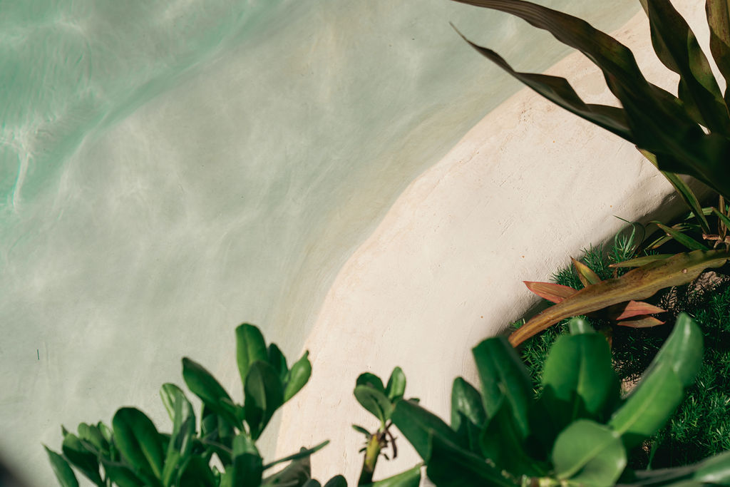 Casa Viva — proyecto Dzenotik 34
