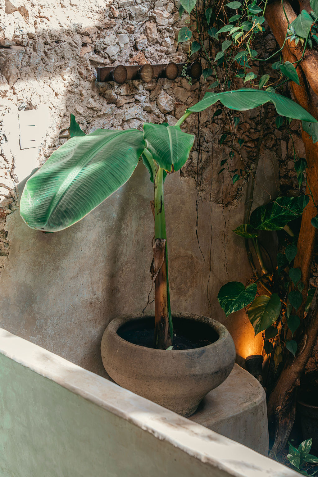 Casa Yaxunah — proyecto Dzenotik 14