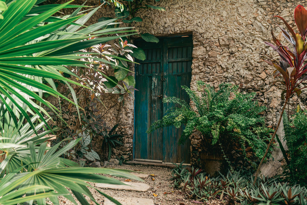 Casa Yaxunah — proyecto Dzenotik 34