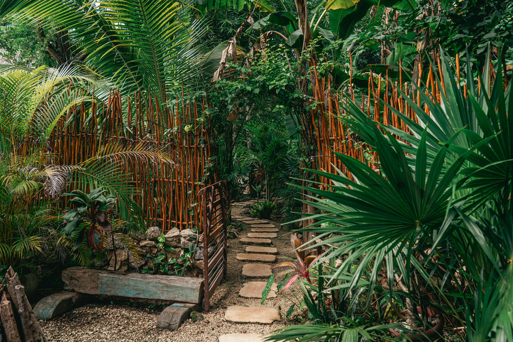 Casa Yaxunah — proyecto Dzenotik 35