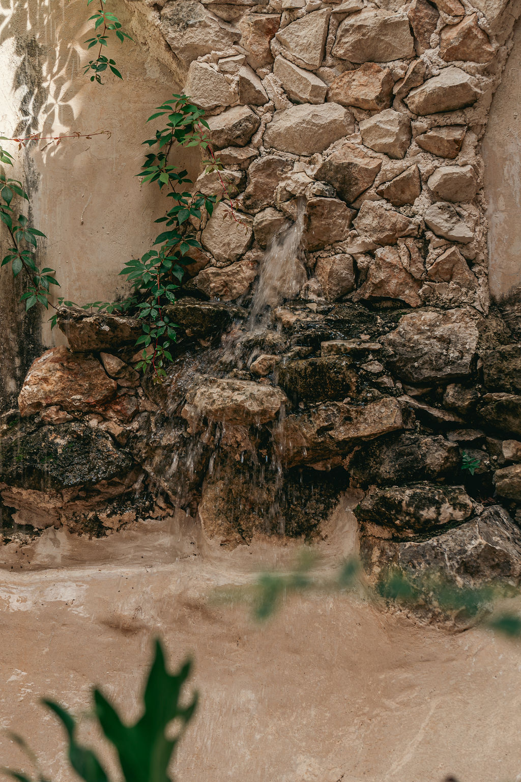 Casa Yaxunah — proyecto Dzenotik 49