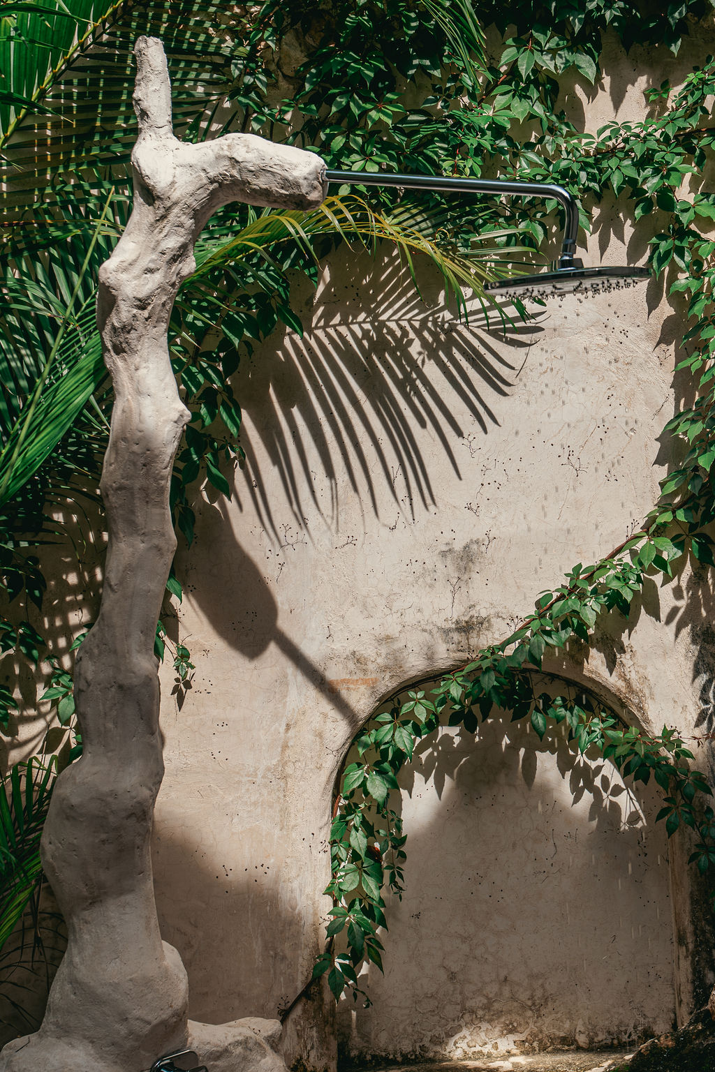 Casa Yaxunah — proyecto Dzenotik 50