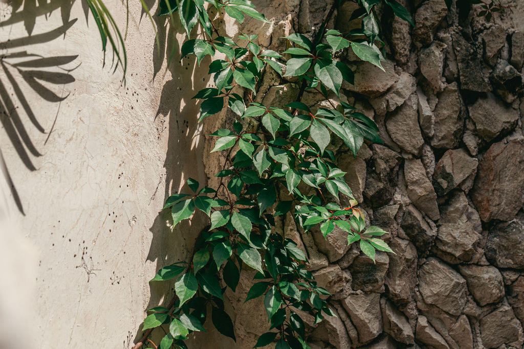 Casa Yaxunah — proyecto Dzenotik 51