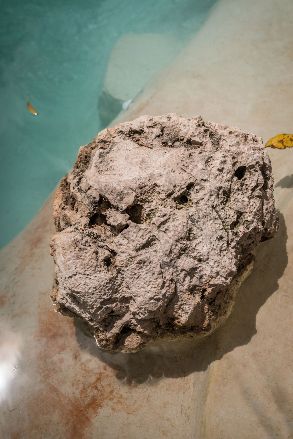 Enigmatic Hotels — proyecto Dzenotik 20