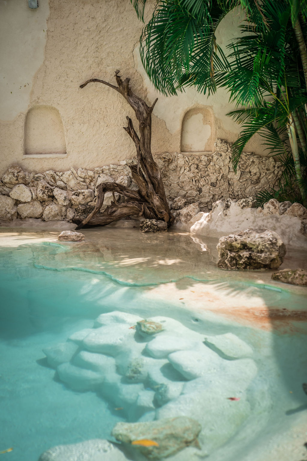 Enigmatic Hotels — proyecto Dzenotik 22