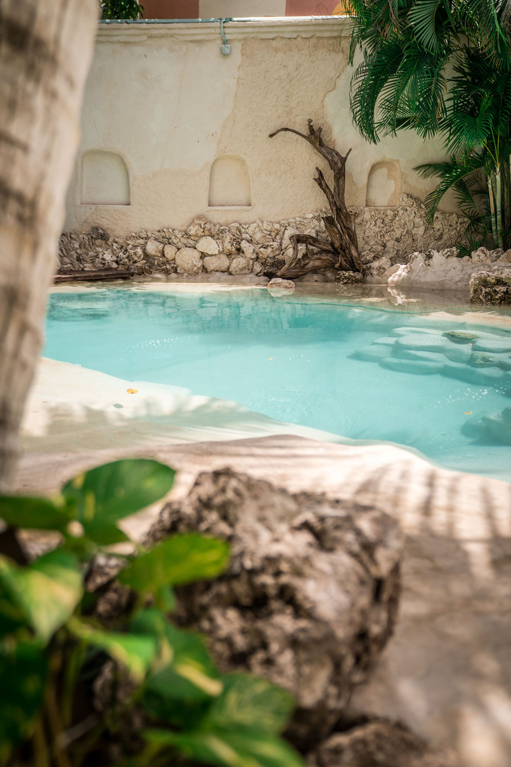 Enigmatic Hotels — proyecto Dzenotik 23
