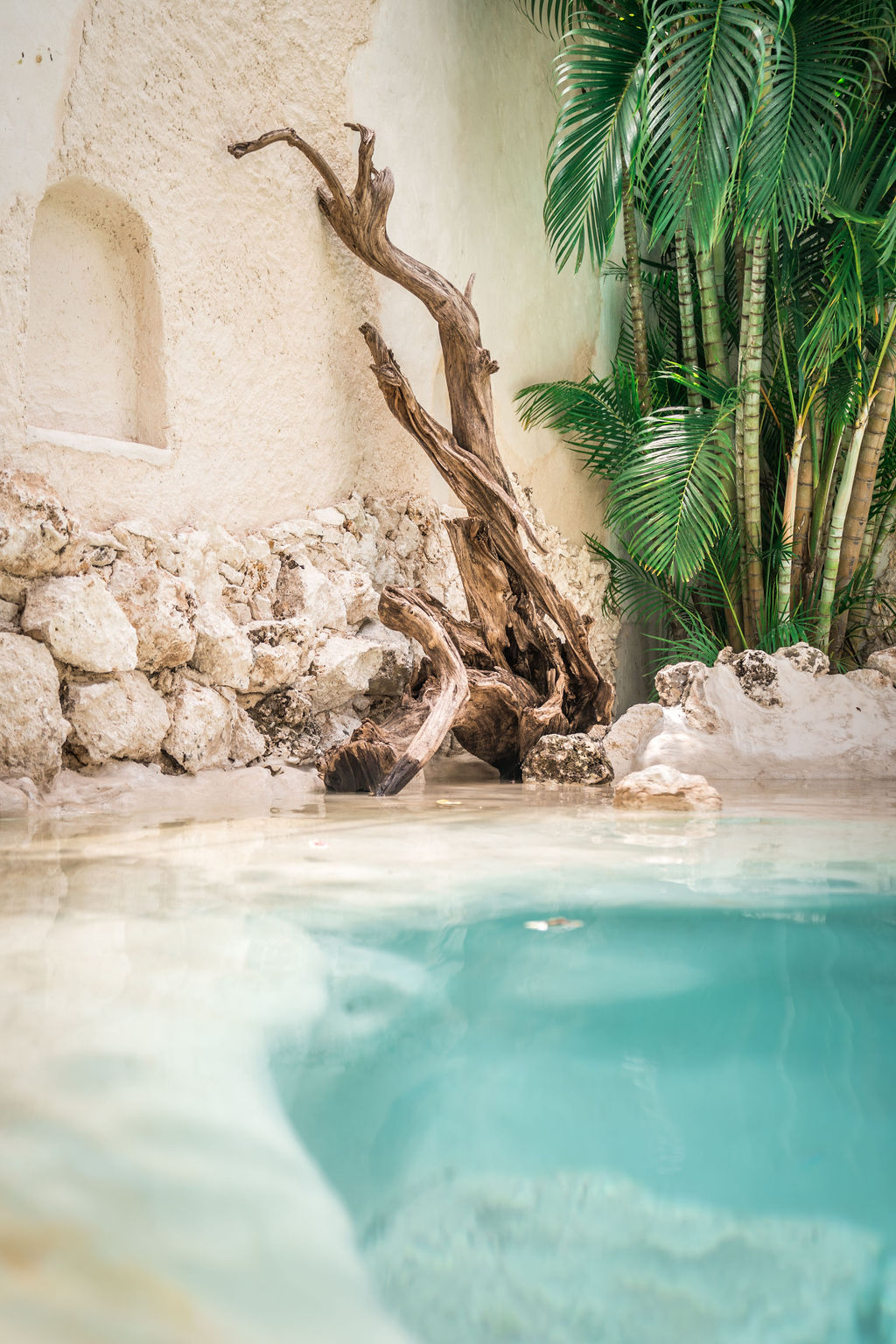 Enigmatic Hotels — proyecto Dzenotik 31