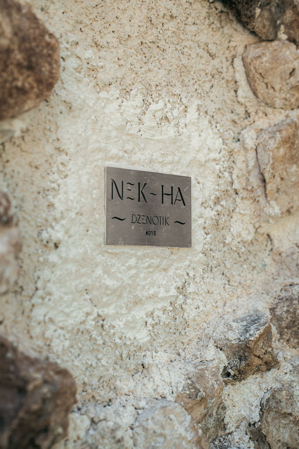 Nek Ha — proyecto Dzenotik 13