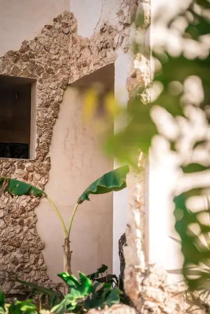 Piscinas en Mérida — proyecto Dzenotik 5