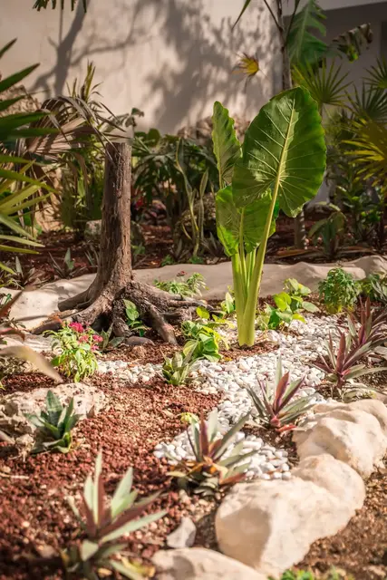 Piscinas en Tulum — proyecto Dzenotik 3