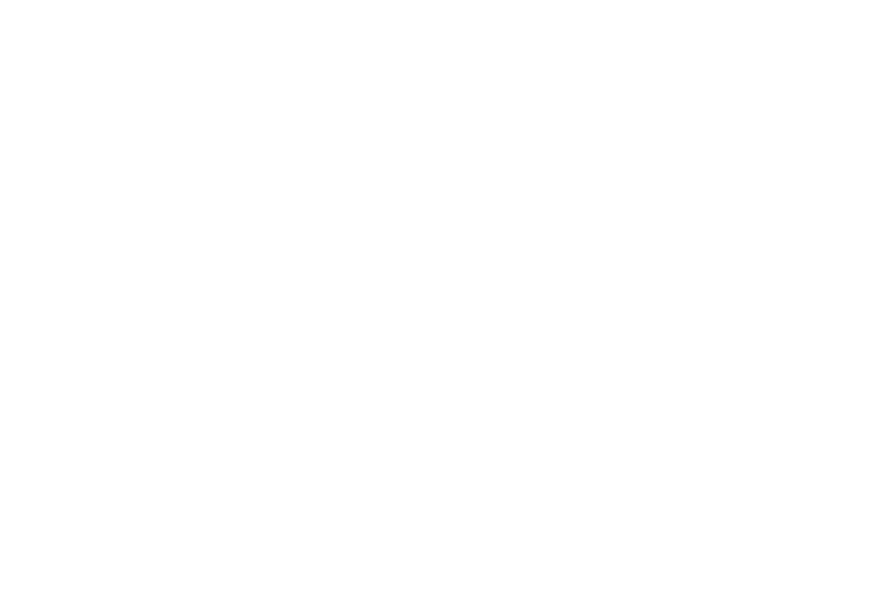 Dzenotik