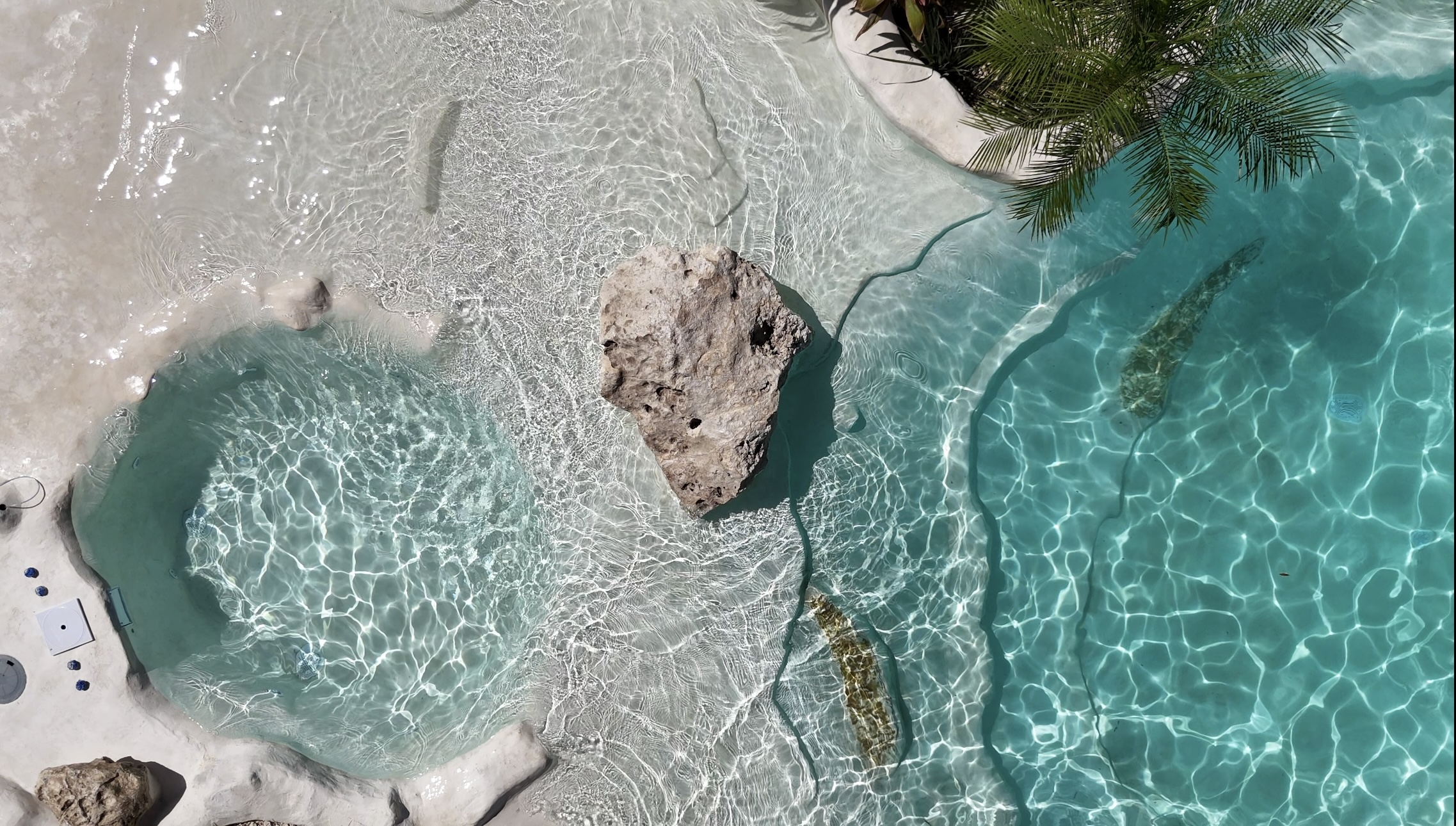 Cómo una alberca tipo cenote puede aumentar la plusvalía de tu propiedad